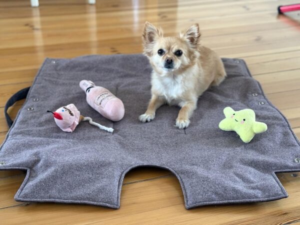 2-in-1-Hundetasche Komfort Plus – Bild 11