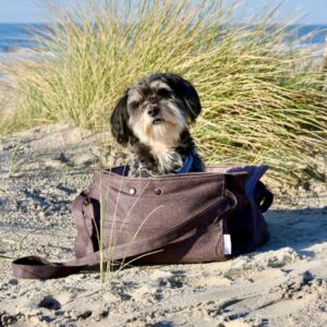 2-1 Hundetasche